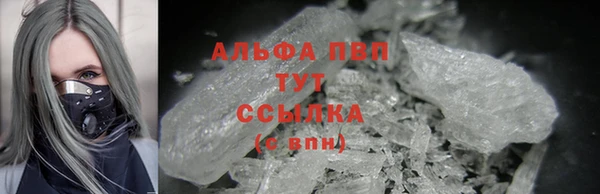стаф Володарск