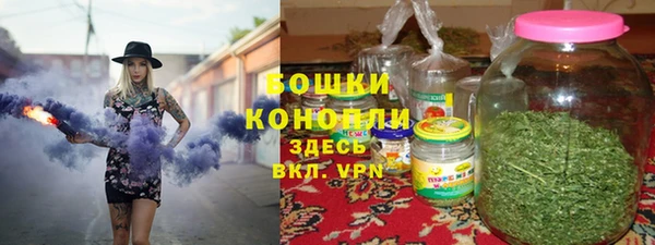 стаф Володарск