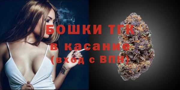 стаф Володарск